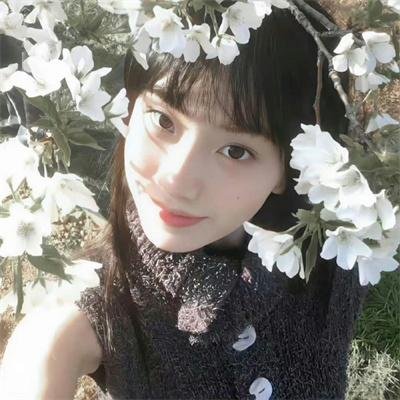 空中的飞鸟